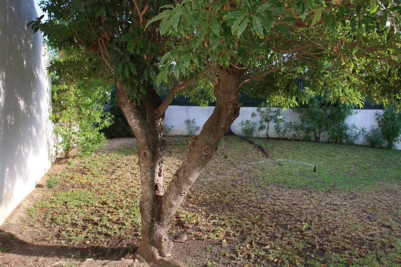 Villa Jacaranda - 550M From The Beach - Free Wifi - By Bedzy Albufeira Exterior foto